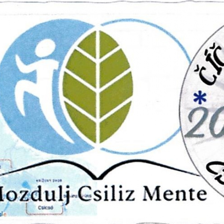 12.Csicsói futás