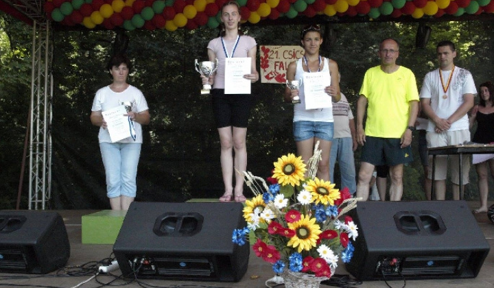 Obecné oslavy XX. Falunap