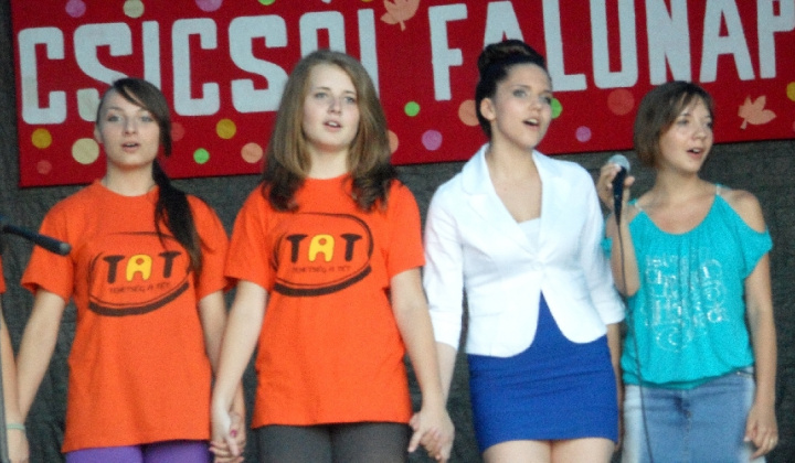 8_1341317768 / XVII. Obecné oslavy - 22. a 23. júna 2012 XVII. Obecné oslavy - 22. a 23. júna 2012