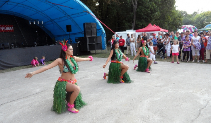 8_1341317797 / XVII. Obecné oslavy - 22. a 23. júna 2012 XVII. Obecné oslavy - 22. a 23. júna 2012