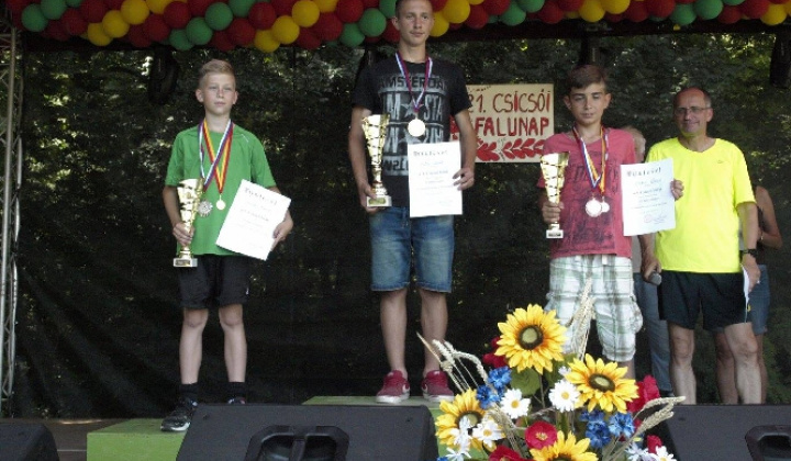 Obecné oslavy XX. Falunap
