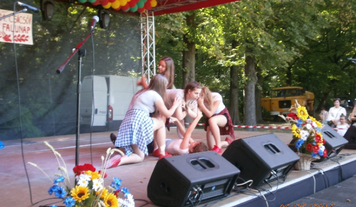 Obecné oslavy XX. Falunap