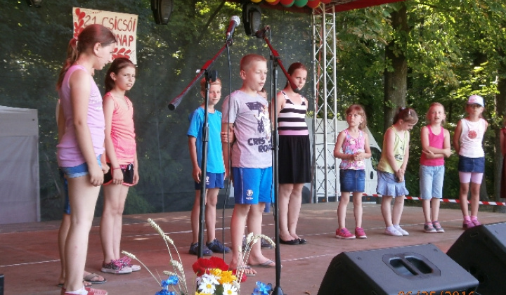 Obecné oslavy XX. Falunap
