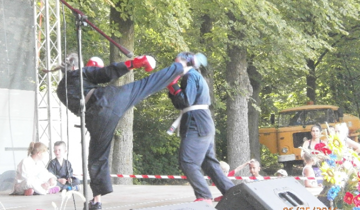 Obecné oslavy XX. Falunap
