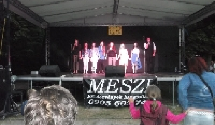 Aktualitások / XIX. Csicsói Falunap - összefoglaló