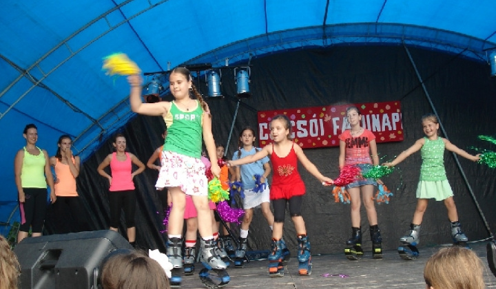 XVII. Obecné oslavy - 22. a 23. júna 2012