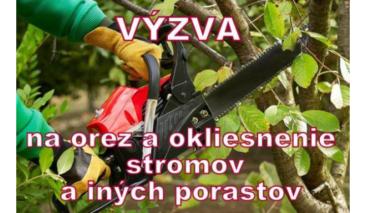 Fotka pre článok Výzva 