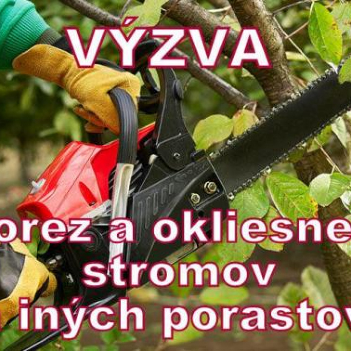 Výzva 